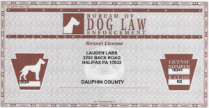 Lauden Labs License 2024
